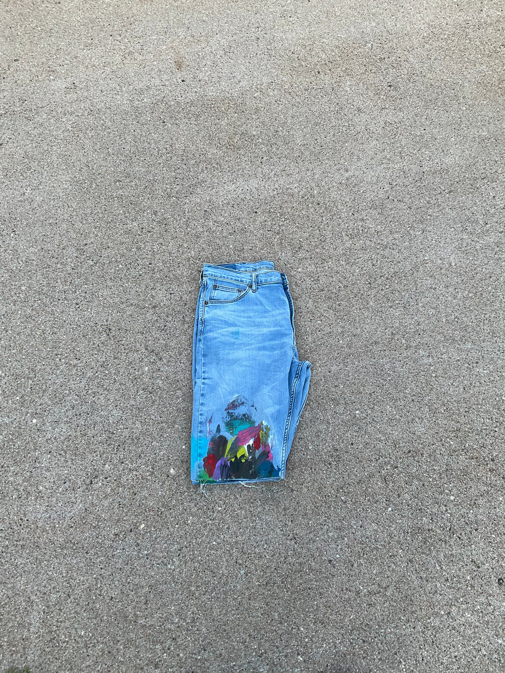 Paint Canvas Denim Shorts