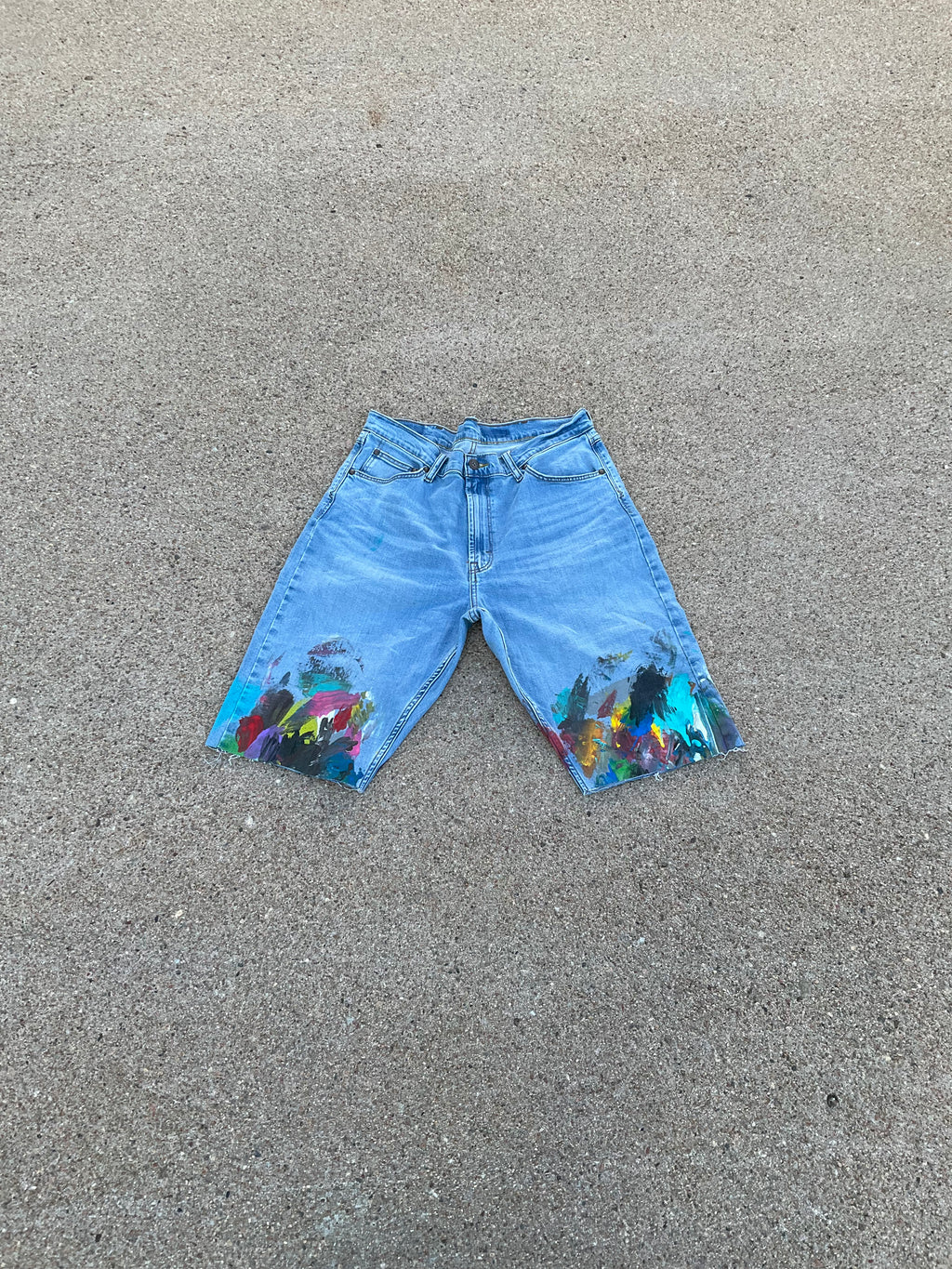 Paint Canvas Denim Shorts